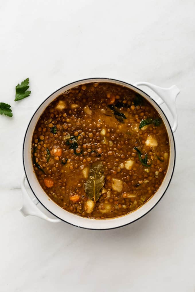 Cooked lentil stew in a white pot